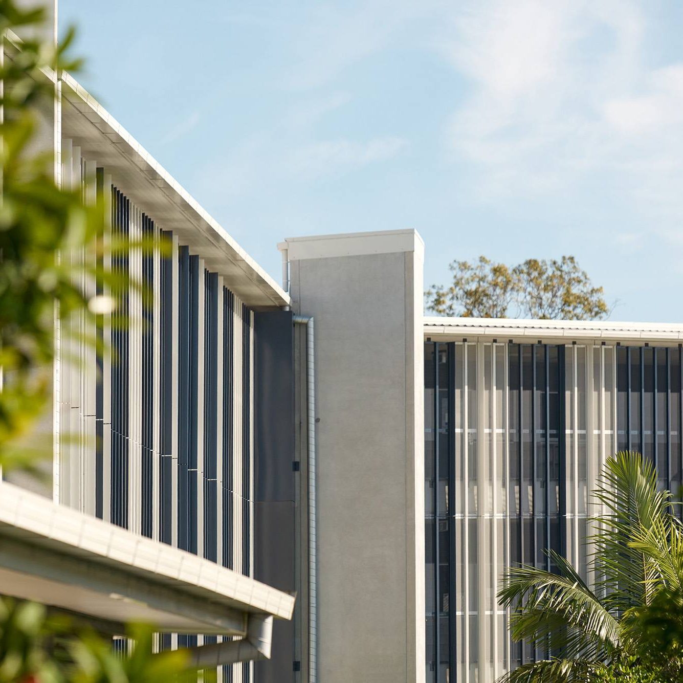 PallaraStateSchool_0131web